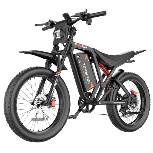 R700 Electric Bike