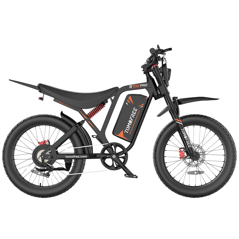 R700 Electric Bike