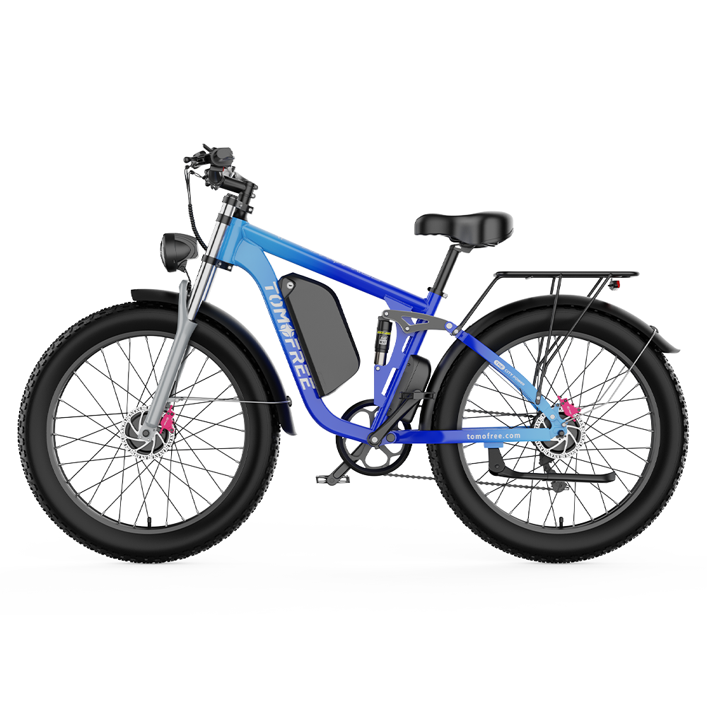 XT200 Electric Bike
