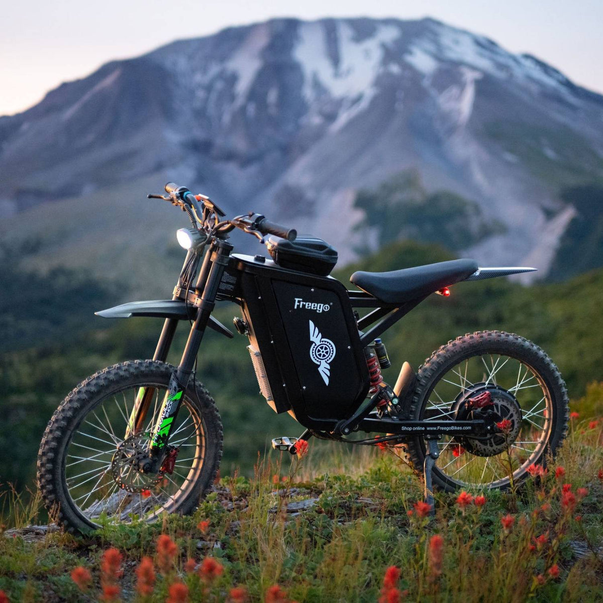 X3PRO Electric Dirt Bike